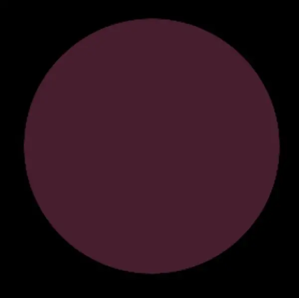 Raisin - Image 4